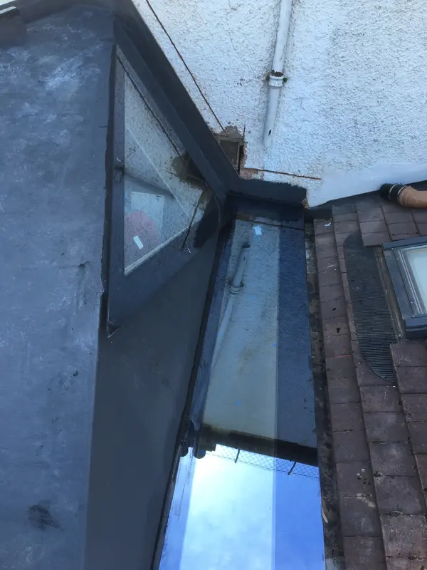 Skylights Forest Hill